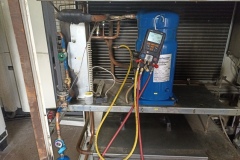 Serwis Chiller RIEDEL PC 321.1MS5.1
